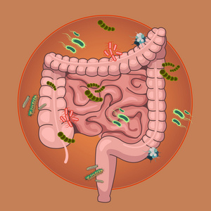 矢量肠细菌和微生物.矢量平面卡通插画照片