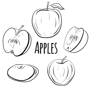 单和半苹果.菜单食谱明信片和创意的黑白轮廓图照片