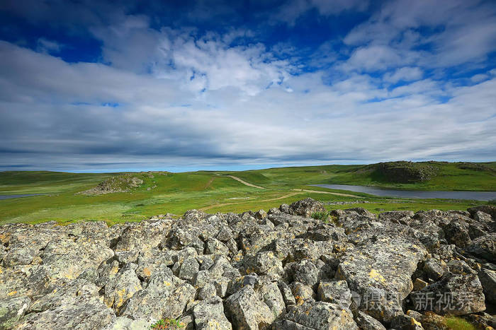 惊人的夏季苔原景观, 绿色苔藓, 生态系统