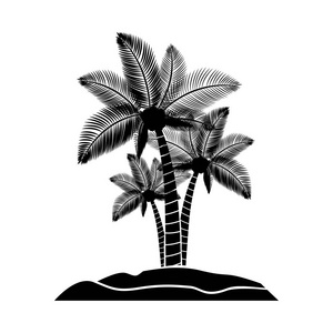 黑色的轮廓岛屿与棕榈树