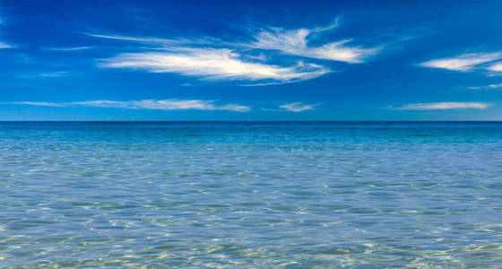 清澈的大海图片