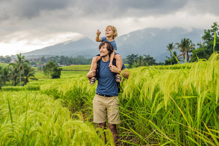 爸爸和儿子附近美丽的贾蒂卢维水稻梯田和在巴厘岛, 印度尼西亚