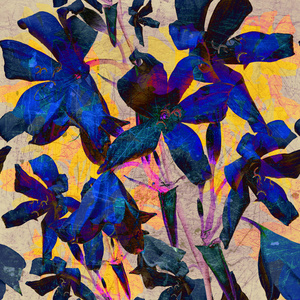 抽象的百合鲜花背景照片