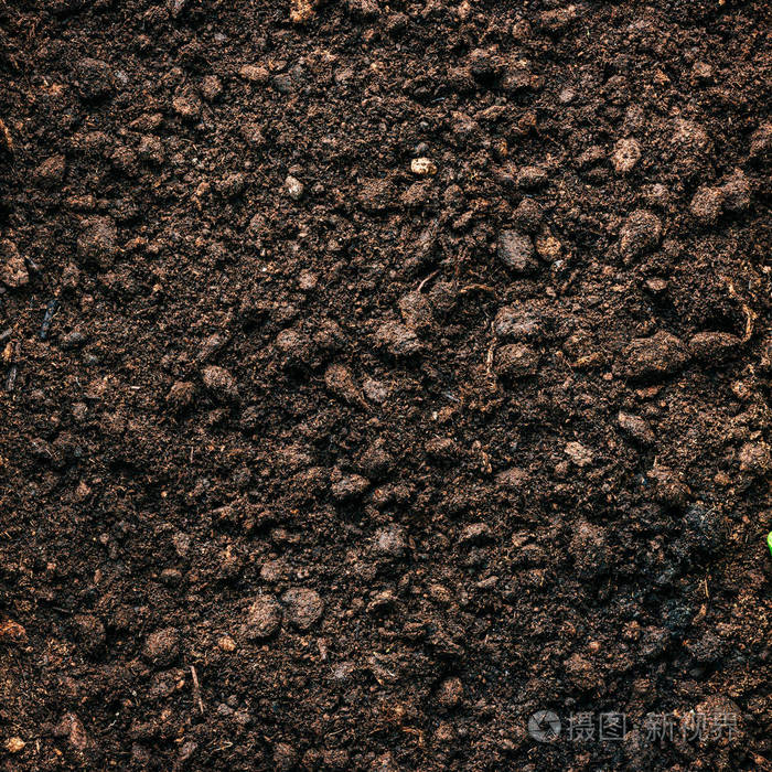 肥沃的腐殖质土壤质地,园艺和农业概念