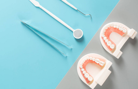 口腔卫生保健概念中的牙科模型