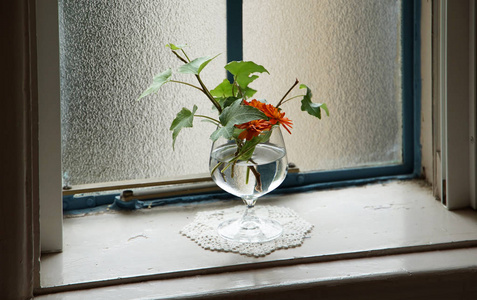 橱窗的花瓶上陈列的花朵的场景图片