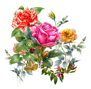 叶子和花，玫瑰的水彩画作品