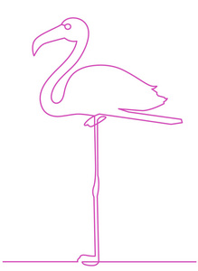 火烈鸟停留在一条腿连续线图画元素被隔绝在白色背景上