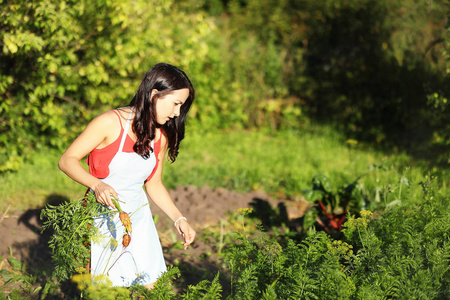 夏天在花园里收获蔬菜的女孩