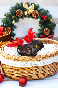一只越南品种的黑猪坐在圣诞装饰附近的柳条篮里。可爱的小黑小猪与滑稽的杯子和垫铁在新年