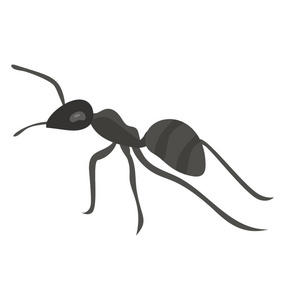 小的昆虫, 有小的腿描绘蚂蚁
