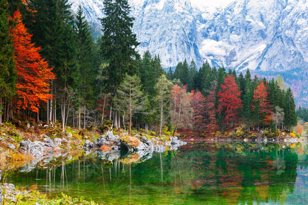 在意大利北部的 Fusine 湖 Lago di Fusine 高山湖泊