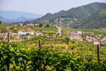 风景如画的丘陵与葡萄园的普罗塞克波光粼粼的葡萄酒地区在科内利亚诺瓦尔多比亚德尼意大利