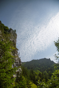 在低 Tatra 地区森林中的悬崖美丽的风景。阳光明媚, 斯洛伐克风光缤纷, 欧洲