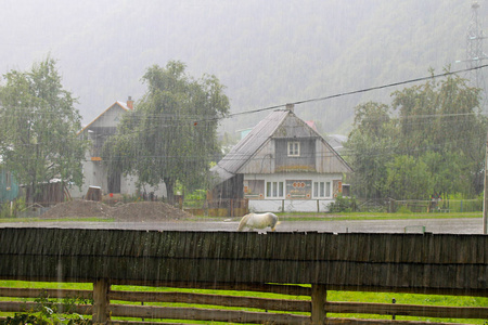 喀尔巴泰郡村庄里的雨