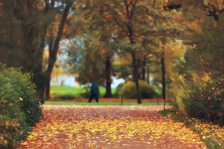 秋天胡同在公园秋天步行在城市公园, 单独周末。黄叶树与树枝间的平静与秋清新概念