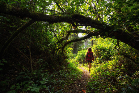 在一个充满活力的夏日里, 女人穿过绿色雨林。在加拿大不列颠哥伦比亚省北部的温哥华岛上拍摄