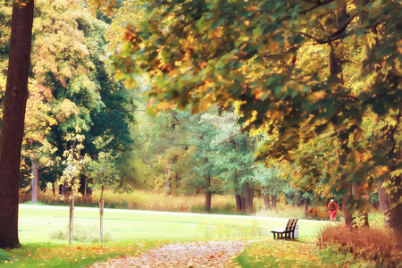 黄河秋季森林景观美丽的树木与黄叶在森林, 风景10月秋季, 季节性景观