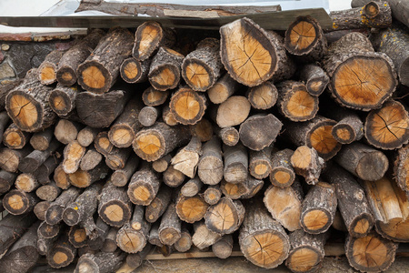 木柴, 收获的冬季点燃