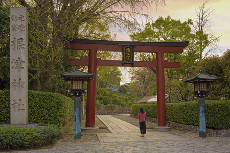 妇女站立在第十八世纪 Shintoist 根津神社的入口在东京与它的大红色牌坊门户和灯笼在日落