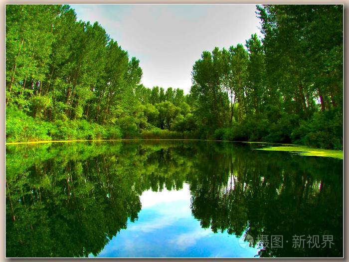 大自然的魔力, 在湖面平静的湖水中, 岸边,树木和森林的惊人的清澈