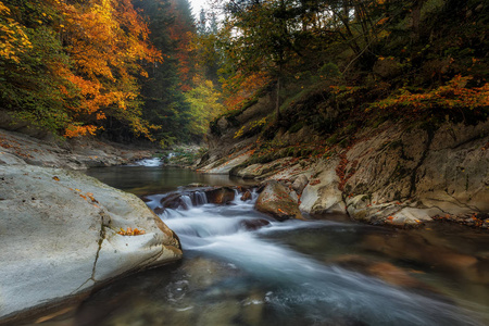 在秋天的绝壁森林河图片