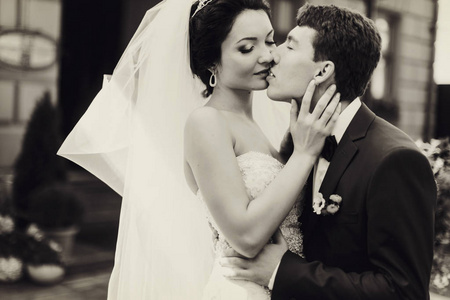 黑色和白色的新郎亲吻新娘精致图片
