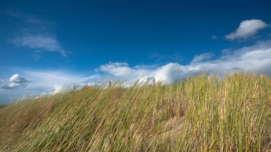 海滩上沙丘的独特视角。蓝海蓝天白云。北海, 荷兰