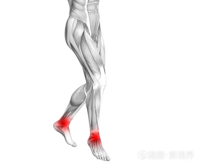 3d. 图示人关节炎或骨质疏松症