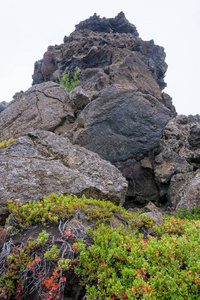 冰岛北部 Myvatn 湖附近异常形状的熔岩场的 Dimmuborgir 地区。该地区是由戏剧性的洞穴和岩层组成的