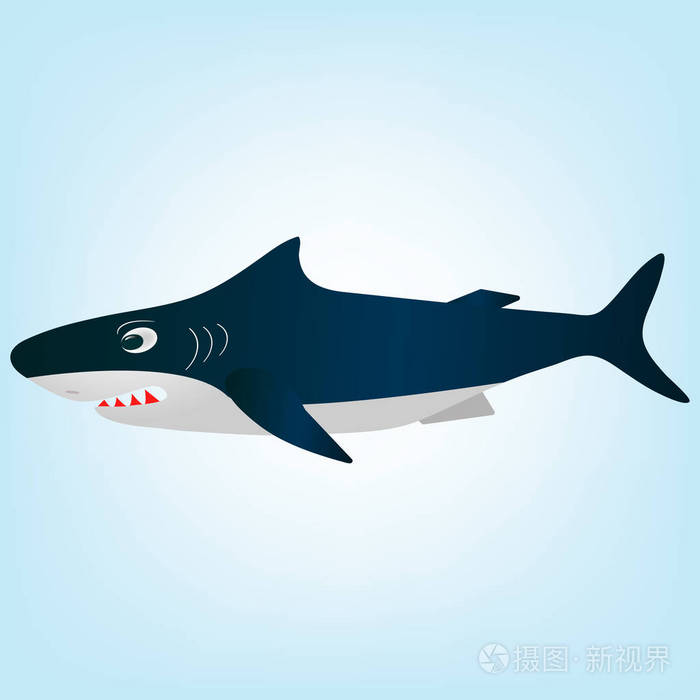 愤怒的白鲨。蓝色背景上的矢量插图