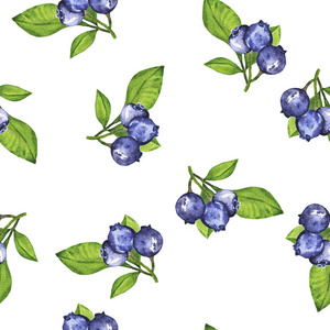 与蓝莓和新鲜的绿叶在白色背景的无缝模式