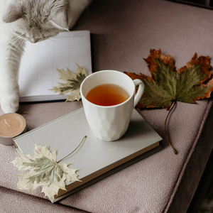 茶与书唯美意境图片图片