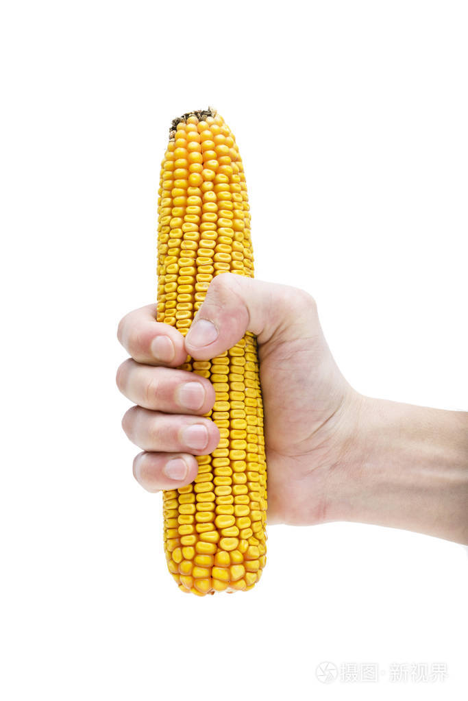 成熟的玉米在男性手