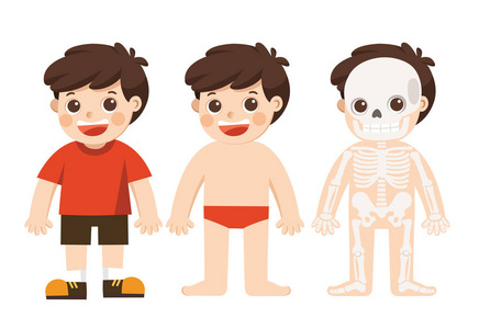 孩子的身体解剖向量例证