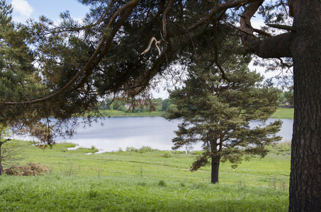 自然, 夏天, 树, 草, 绿叶, 绿色, 天空, 蓝色, 云彩, 农村, 风景, 背景, 屏保, 水, 湖, 海岸