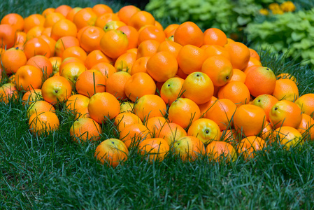 堆的多汁的橘子图片