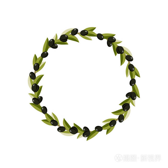 矢量圆形绿色橄榄花环.橄榄框