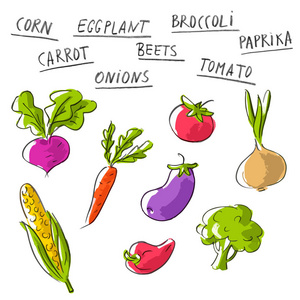 矢量集与蔬菜与刻字