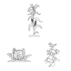 温室和植物标志的孤立对象。网站的温室和花园股票符号收集