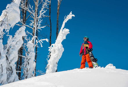 站在山顶上与他观冬季的阳光明媚的一天 copyspace 生活方式享受娱乐运动员活动人季节性的滑雪板滑雪的镜头