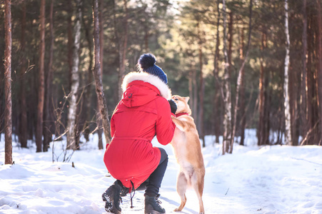 柴犬养殖狗与一个女孩玩耍, 给她一只爪子, 在一个美丽的背景冬季森林