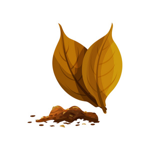 产品包装用装饰平面矢量元件照片