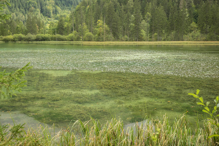 Schiederweiher, 美丽的湖在奥地利在 Hinterstoder 附近