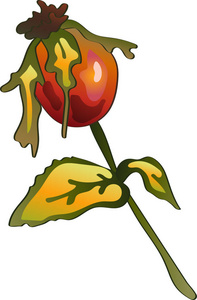 矢量秋黄玫瑰髋关节植物。植物植物园花叶。独立的插图元素。背景纹理包装图案框架或边框的矢量叶