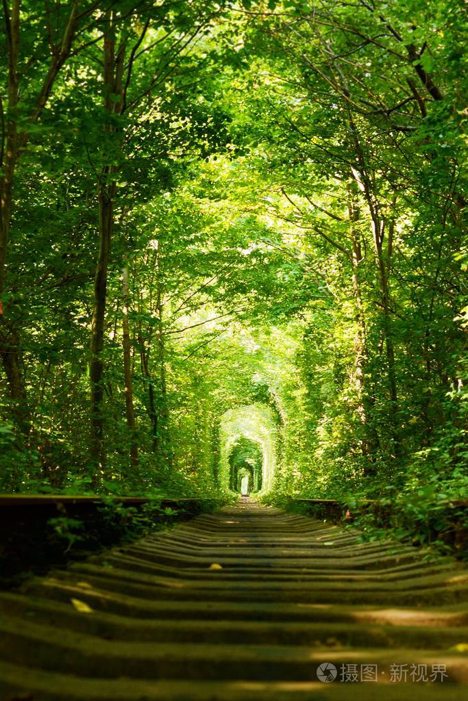 在乌克兰的爱情, 绿树和铁路的魔术隧道.