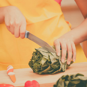 女人准备新鲜蔬菜食品沙拉