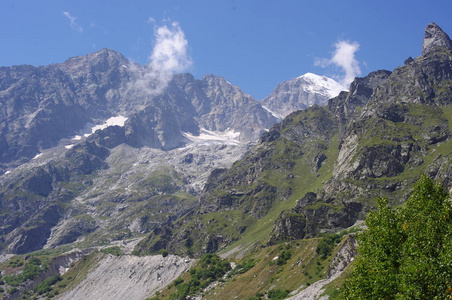 山谷在山上, 杂草丛生的木材和冰川在远处