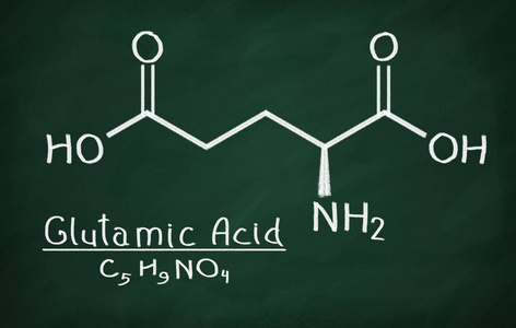 谷氨酸的结构模型