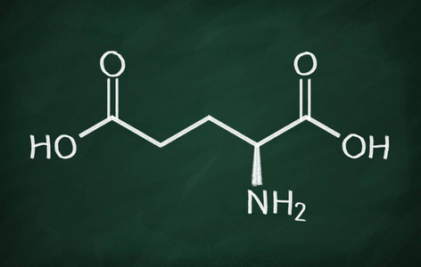 谷氨酸的结构模型